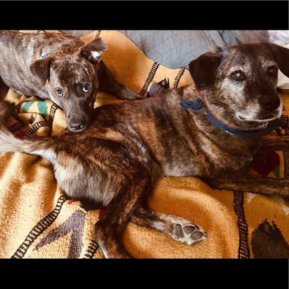 Meet your Posher, Alysse - Picture 5 of 5